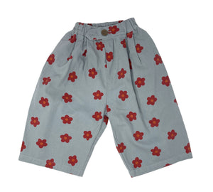 Walking with Flower Pants Size(1-6Y)