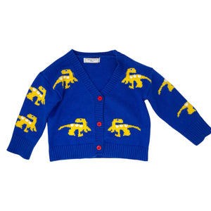 Dinosaur Cardigan Size 2Y
