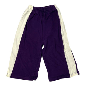 Purple Track Pants SIZE 2Y